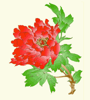 chinese herbs and acupuncture